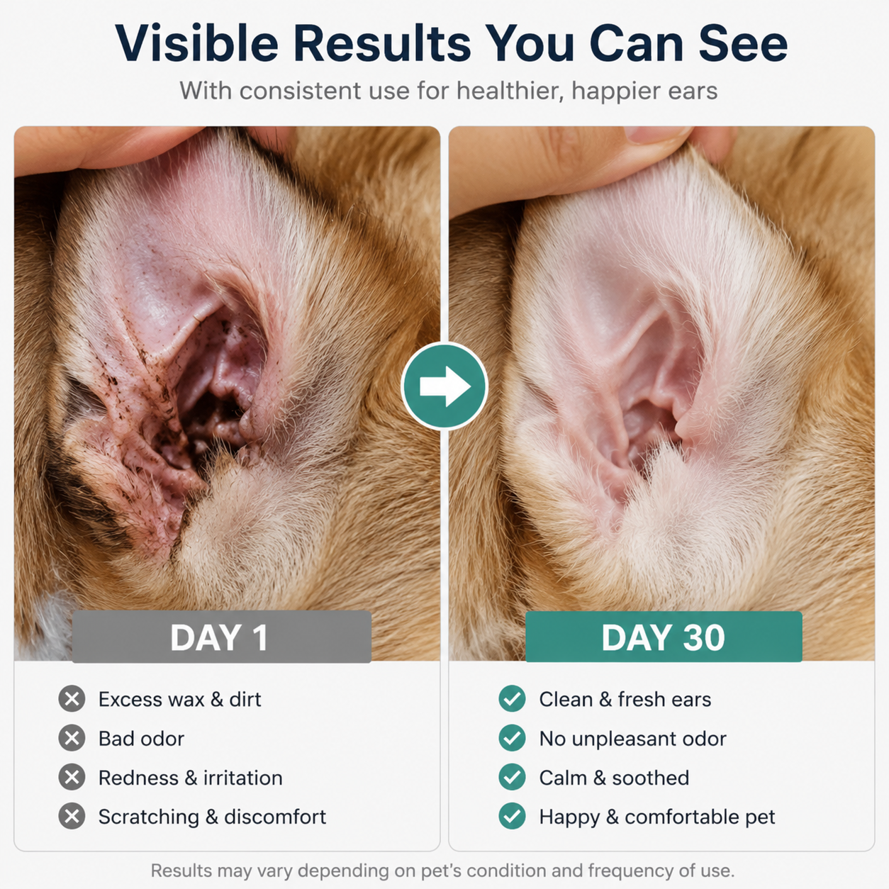 🐶🐱 Ear cleaner | Relieves itching in dogs & cats 👂