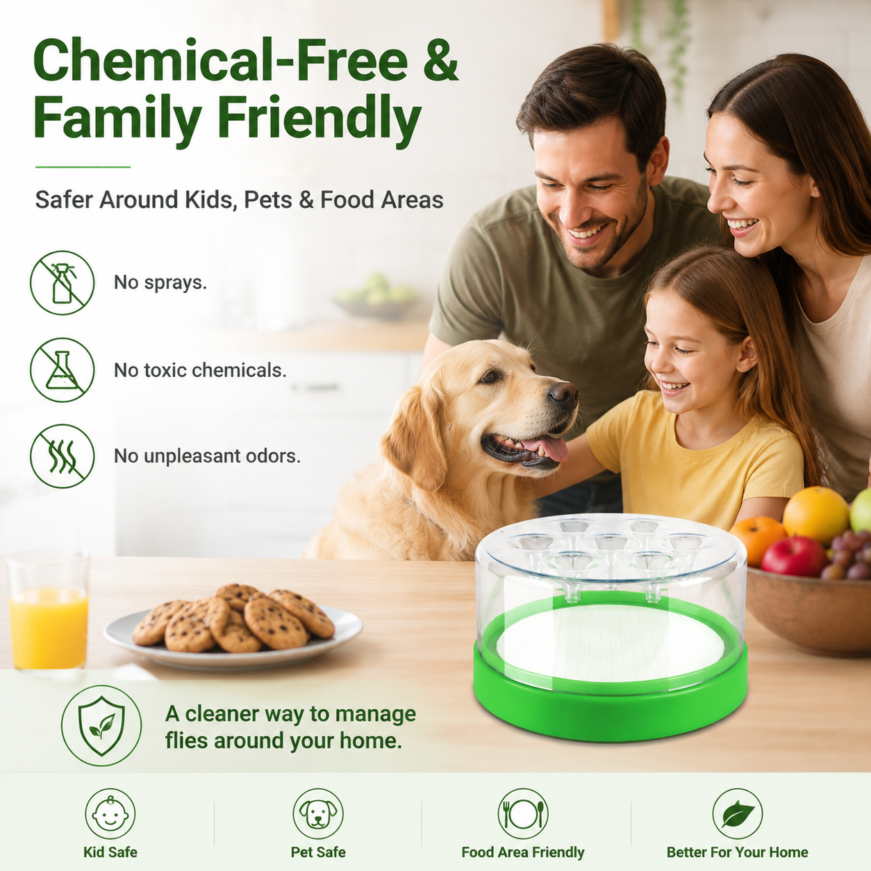 🪰Reusable Non-Electric Fly Trap