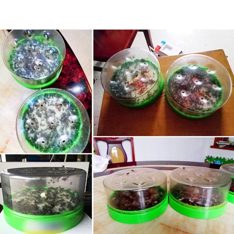 🪰Reusable Non-Electric Fly Trap