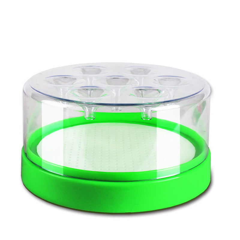 🪰Reusable Non-Electric Fly Trap