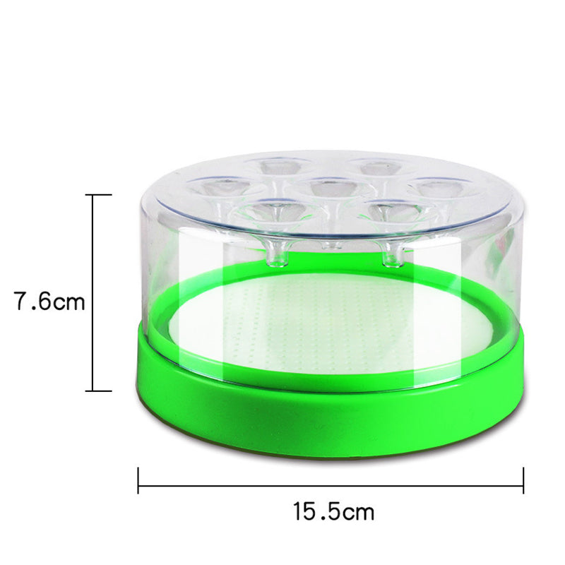 🪰Reusable Non-Electric Fly Trap
